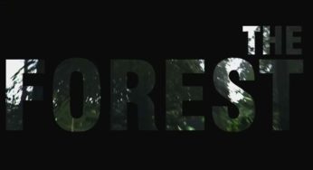 The Forest